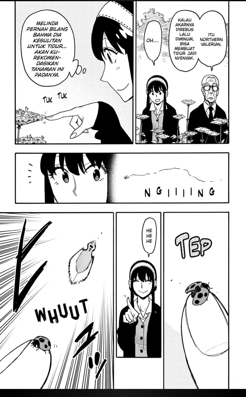Spy X Family Chapter 115