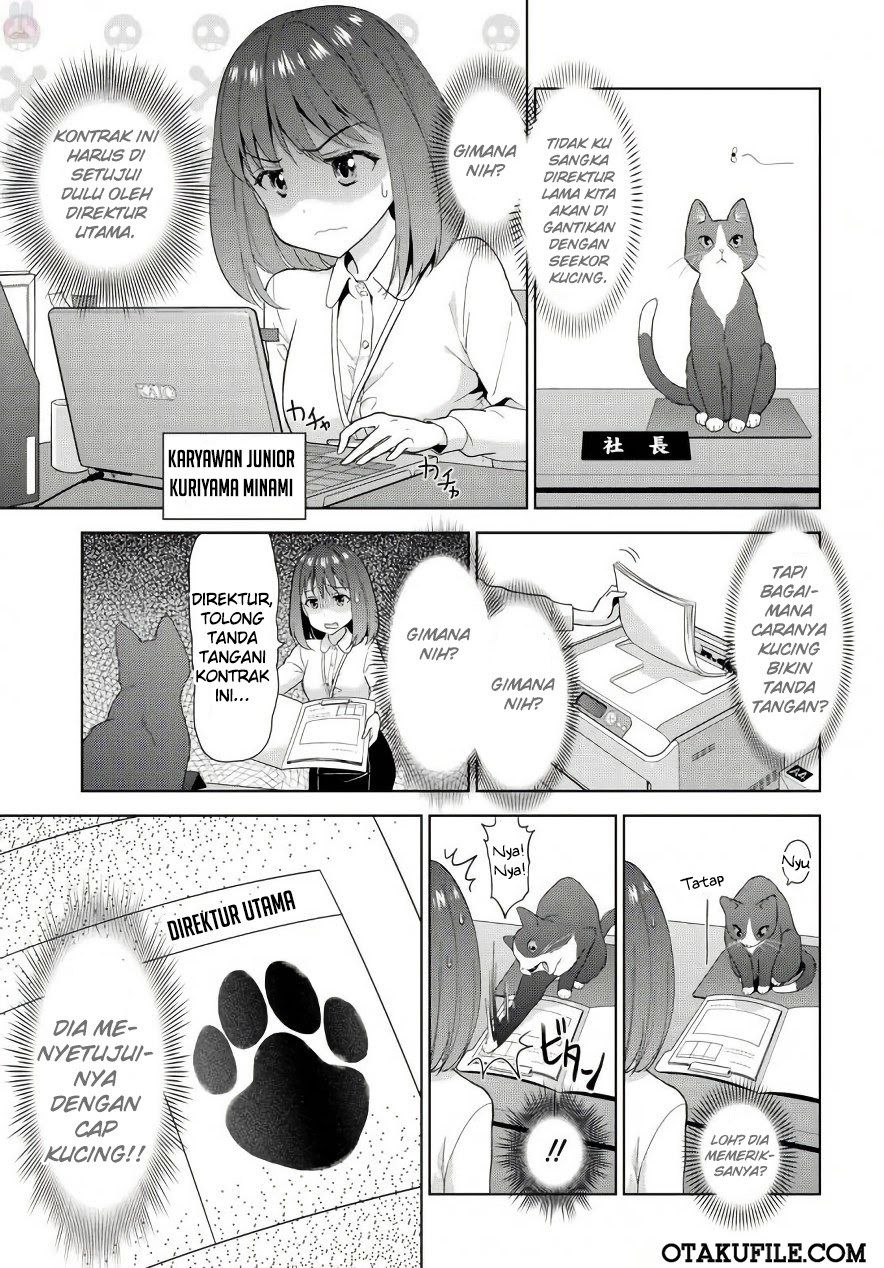 The Black Cat Who Became The Director Chapter 00