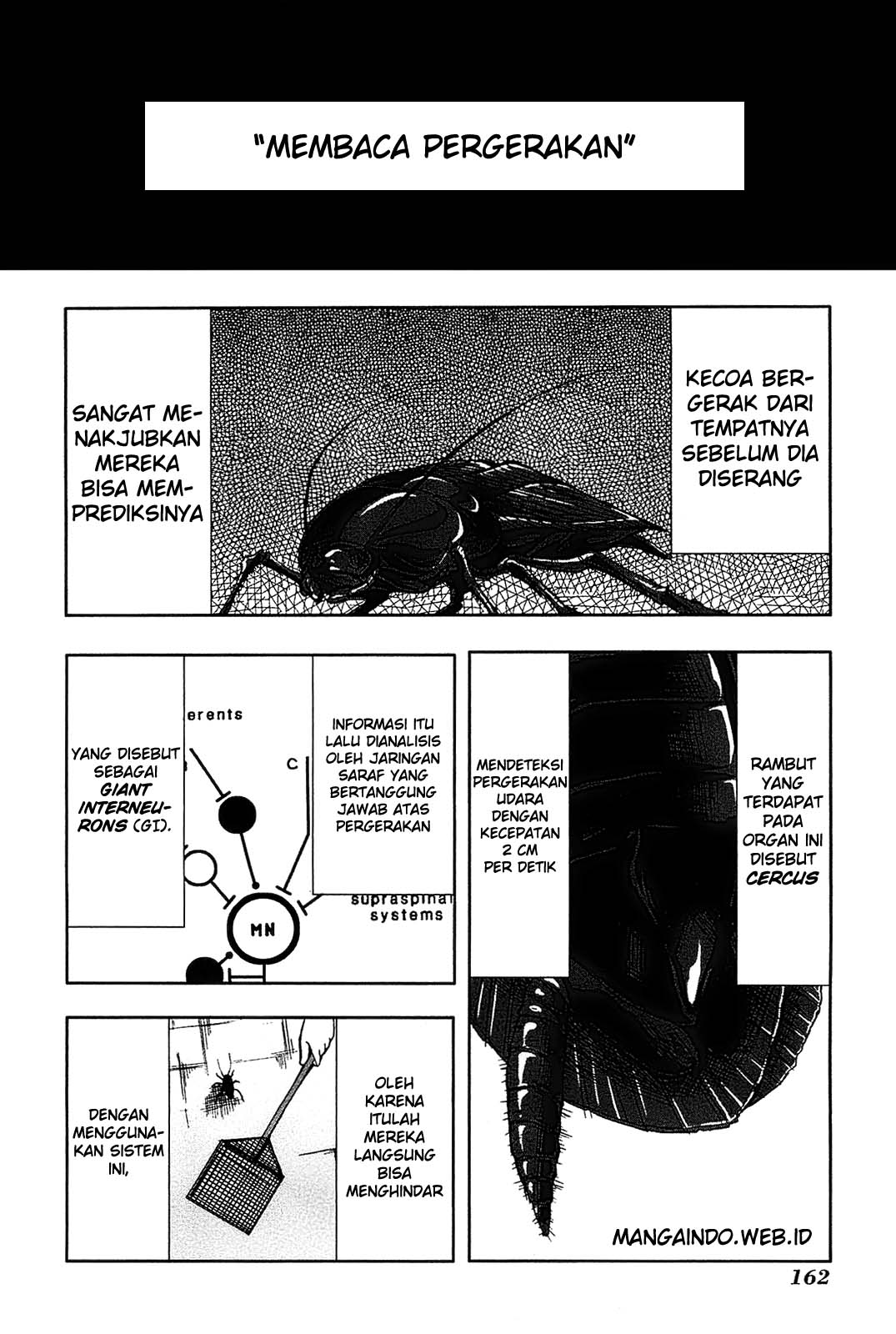 Arachnid Chapter 09