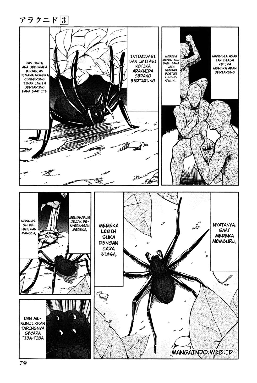 Arachnid Chapter 13