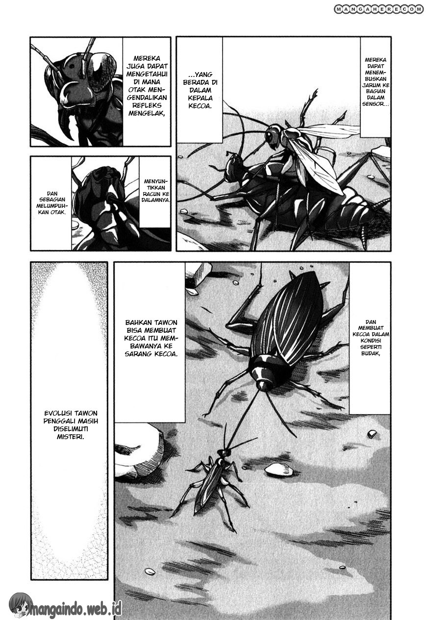 Arachnid Chapter 26
