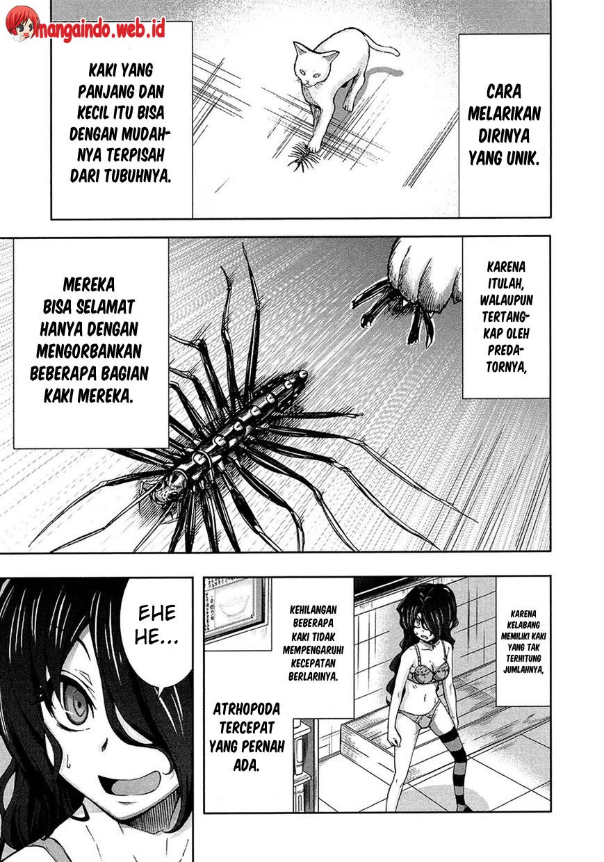 Arachnid Chapter 40