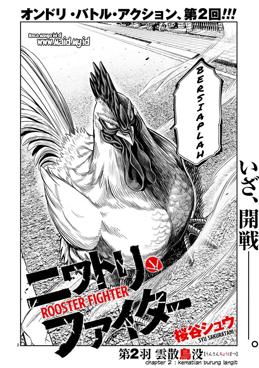 Rooster Fighter Chapter 02