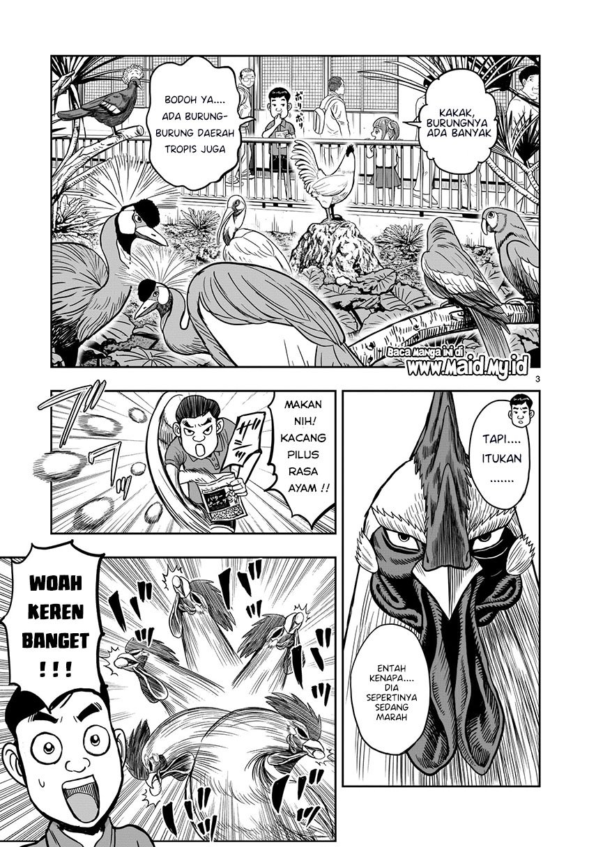 Rooster Fighter Chapter 03