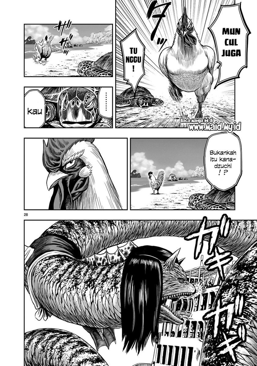 Rooster Fighter Chapter 04