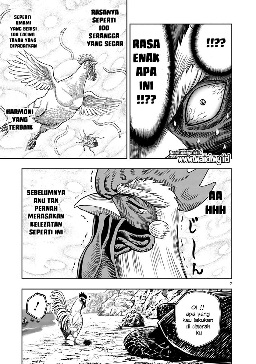 Rooster Fighter Chapter 04