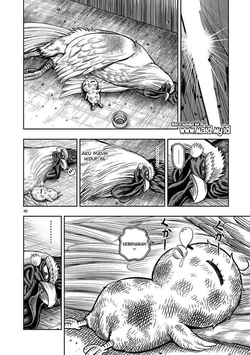 Rooster Fighter Chapter 06