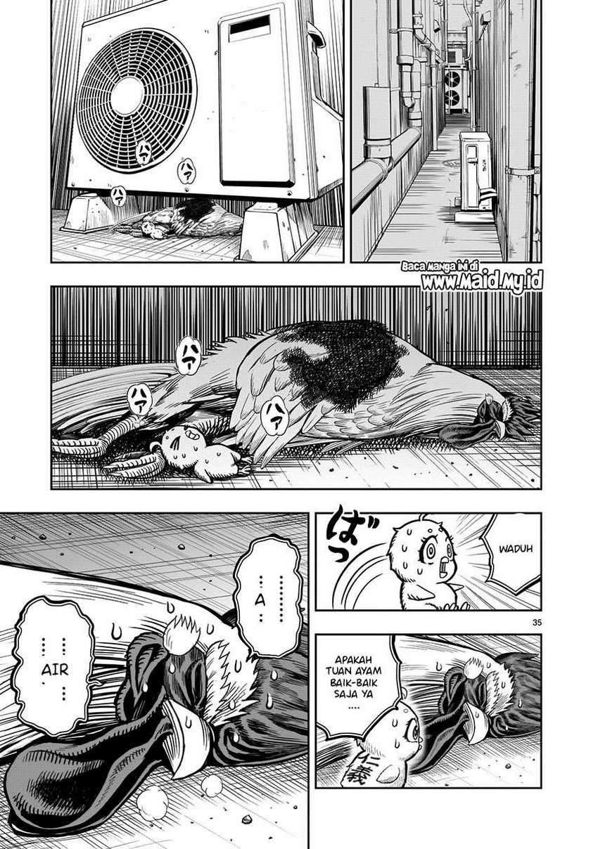 Rooster Fighter Chapter 06
