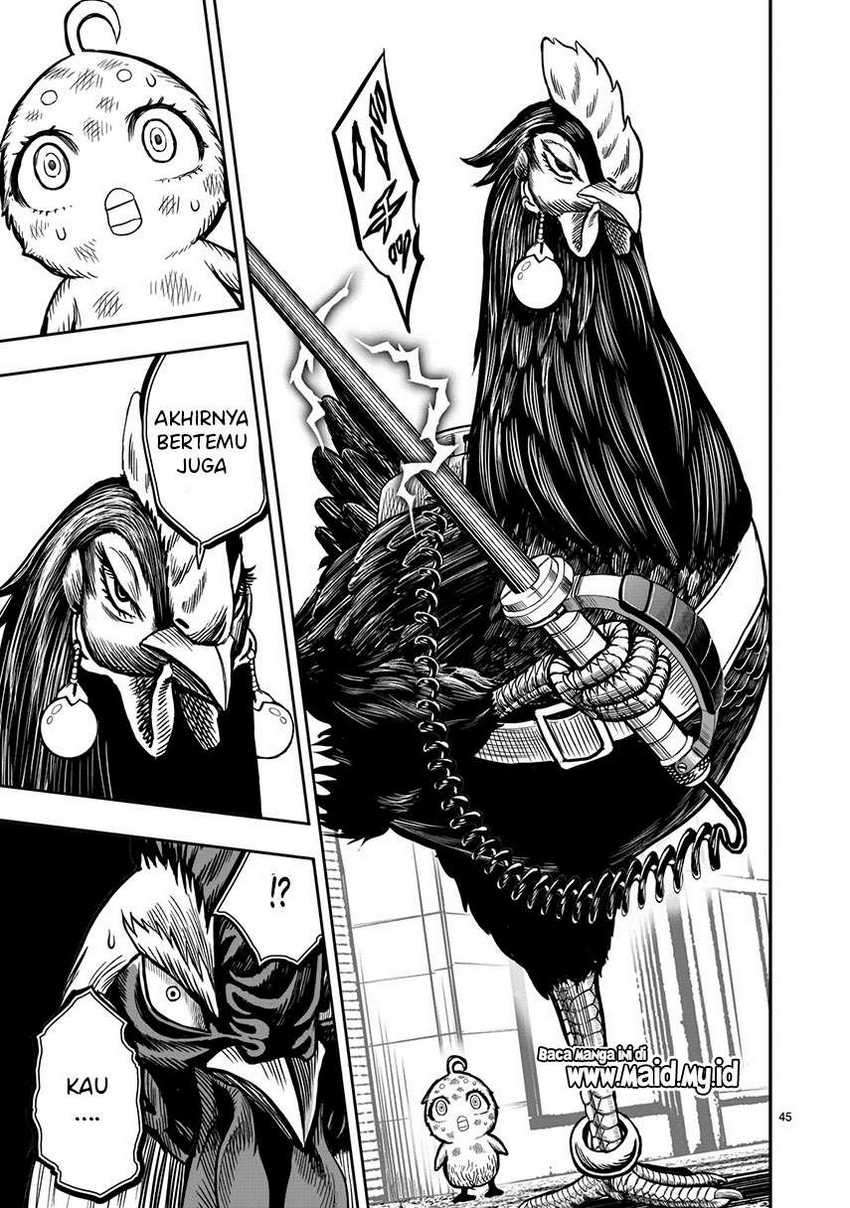 Rooster Fighter Chapter 06