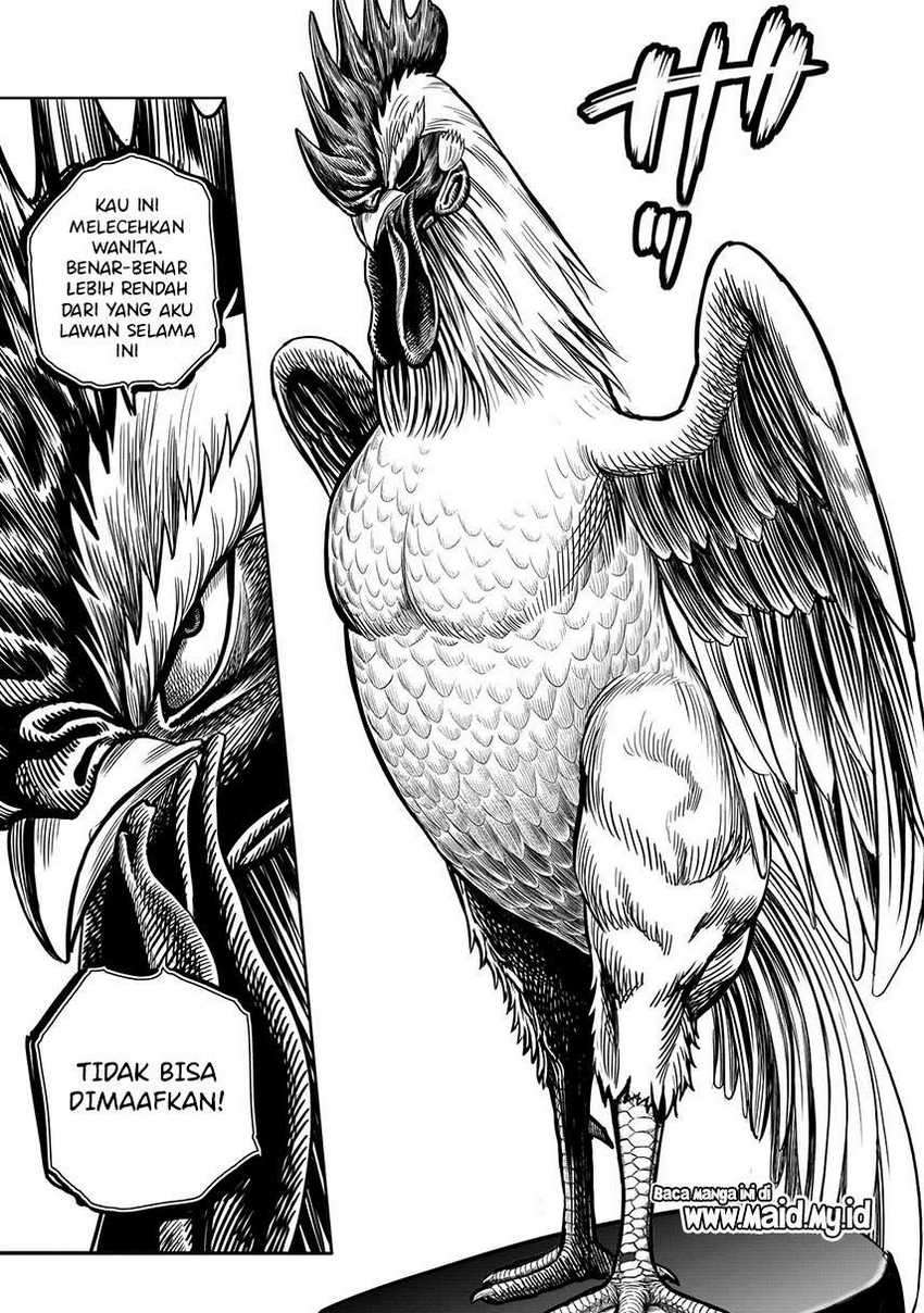 Rooster Fighter Chapter 06