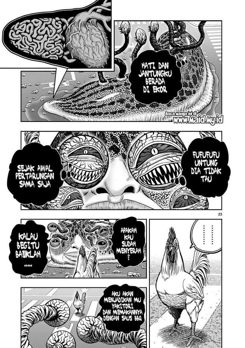 Rooster Fighter Chapter 06