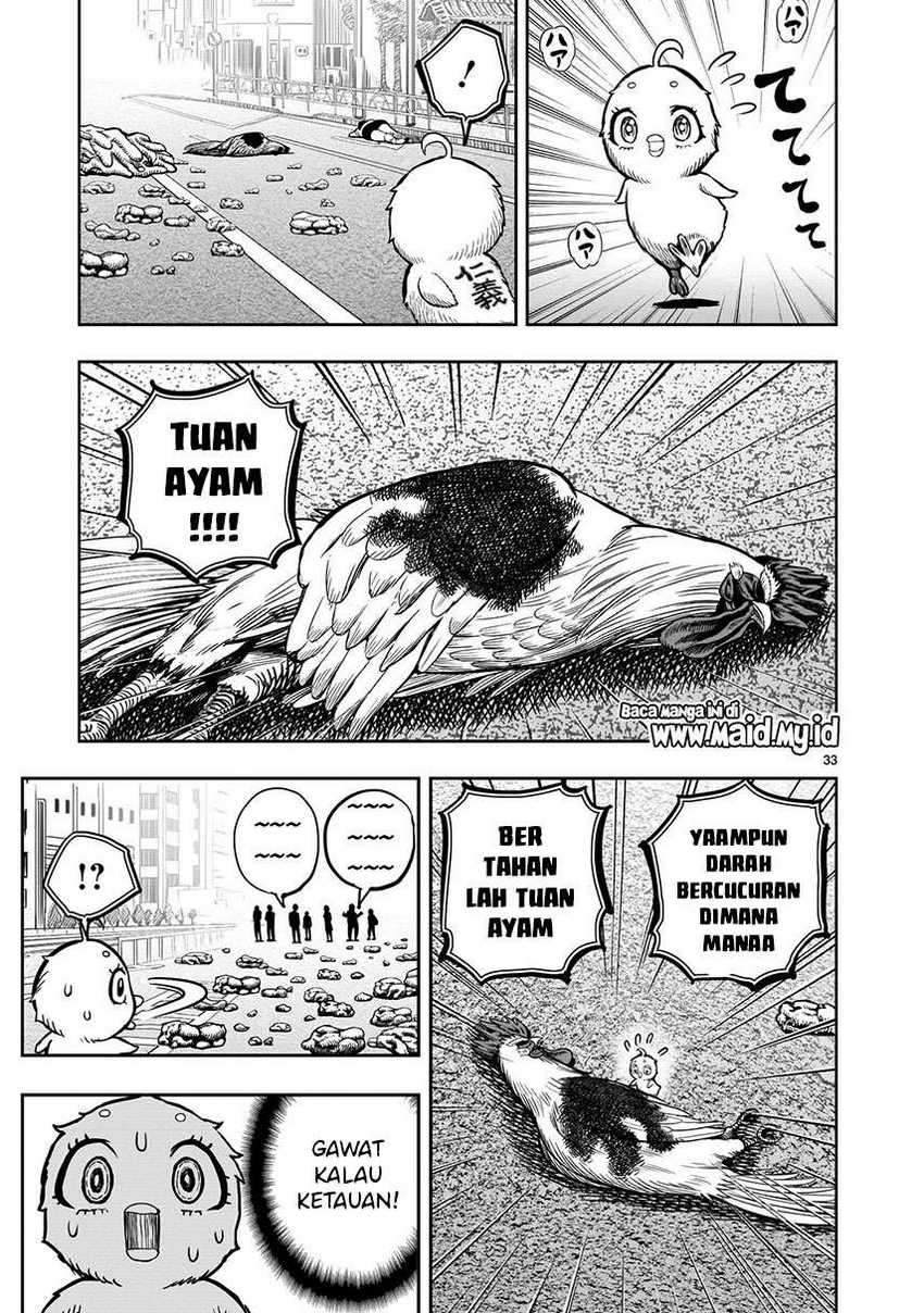 Rooster Fighter Chapter 06