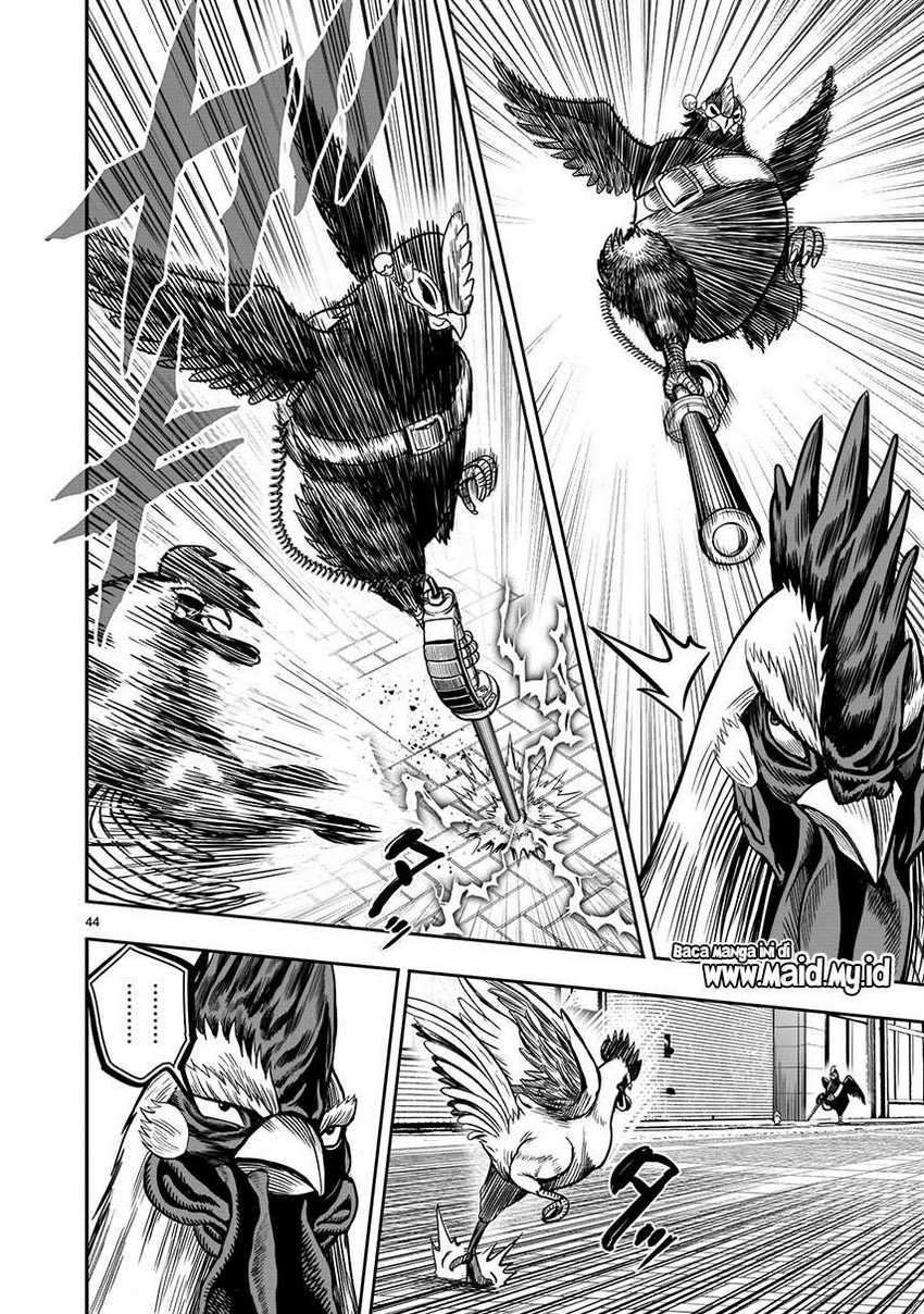 Rooster Fighter Chapter 06