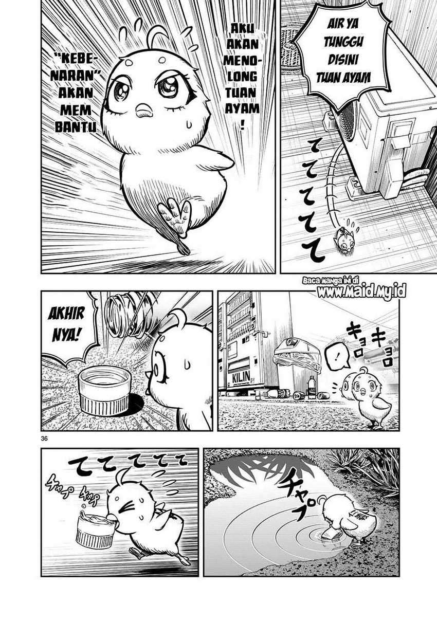 Rooster Fighter Chapter 06