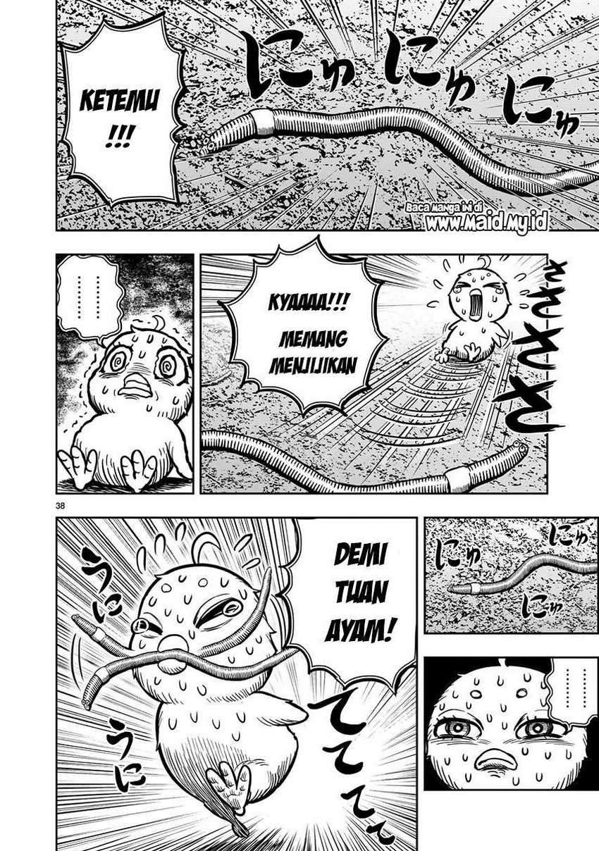 Rooster Fighter Chapter 06