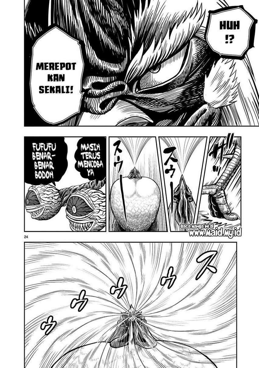 Rooster Fighter Chapter 06