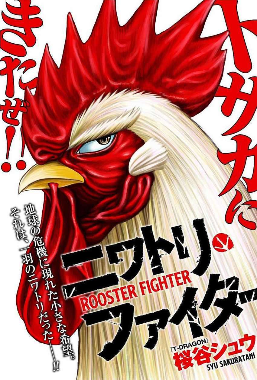 Rooster Fighter Chapter 06