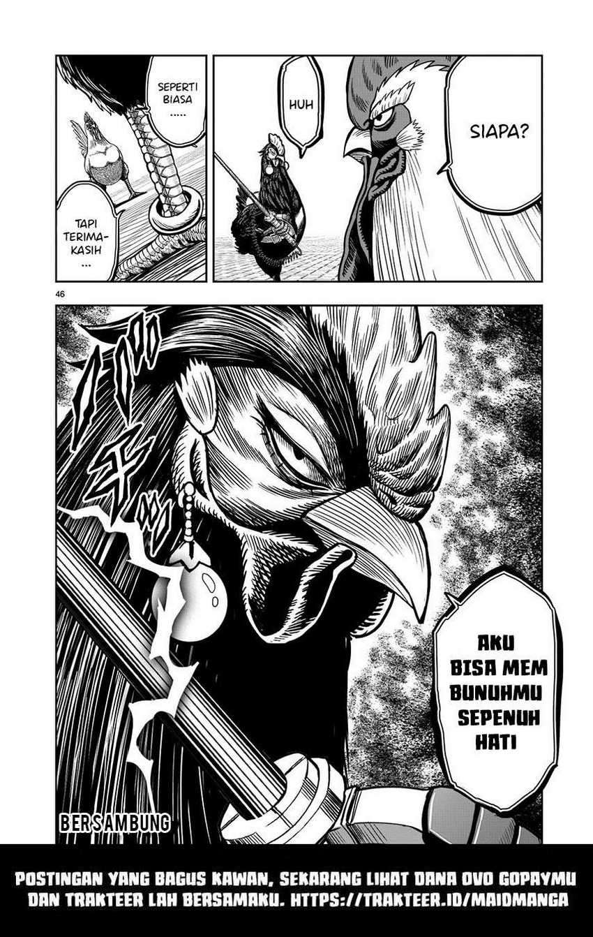Rooster Fighter Chapter 06