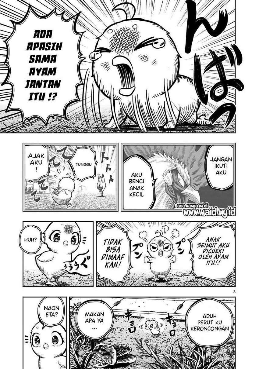 Rooster Fighter Chapter 06