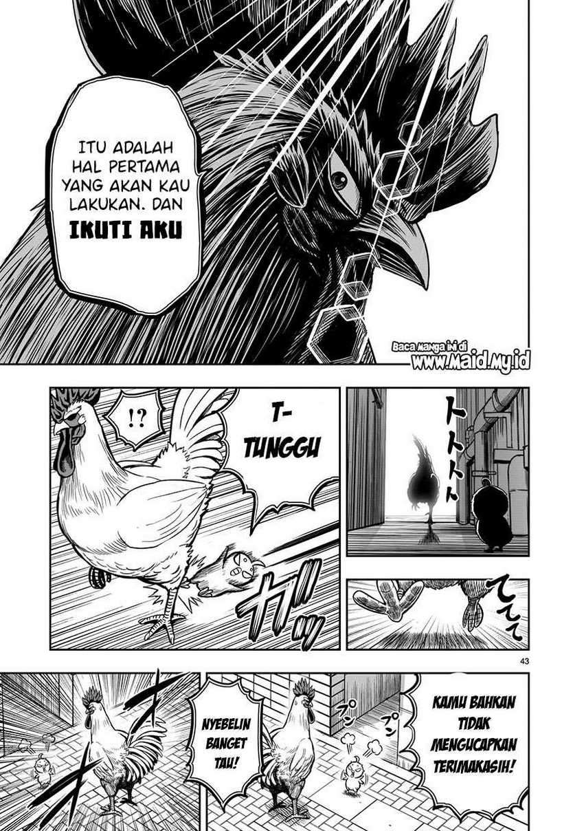 Rooster Fighter Chapter 06