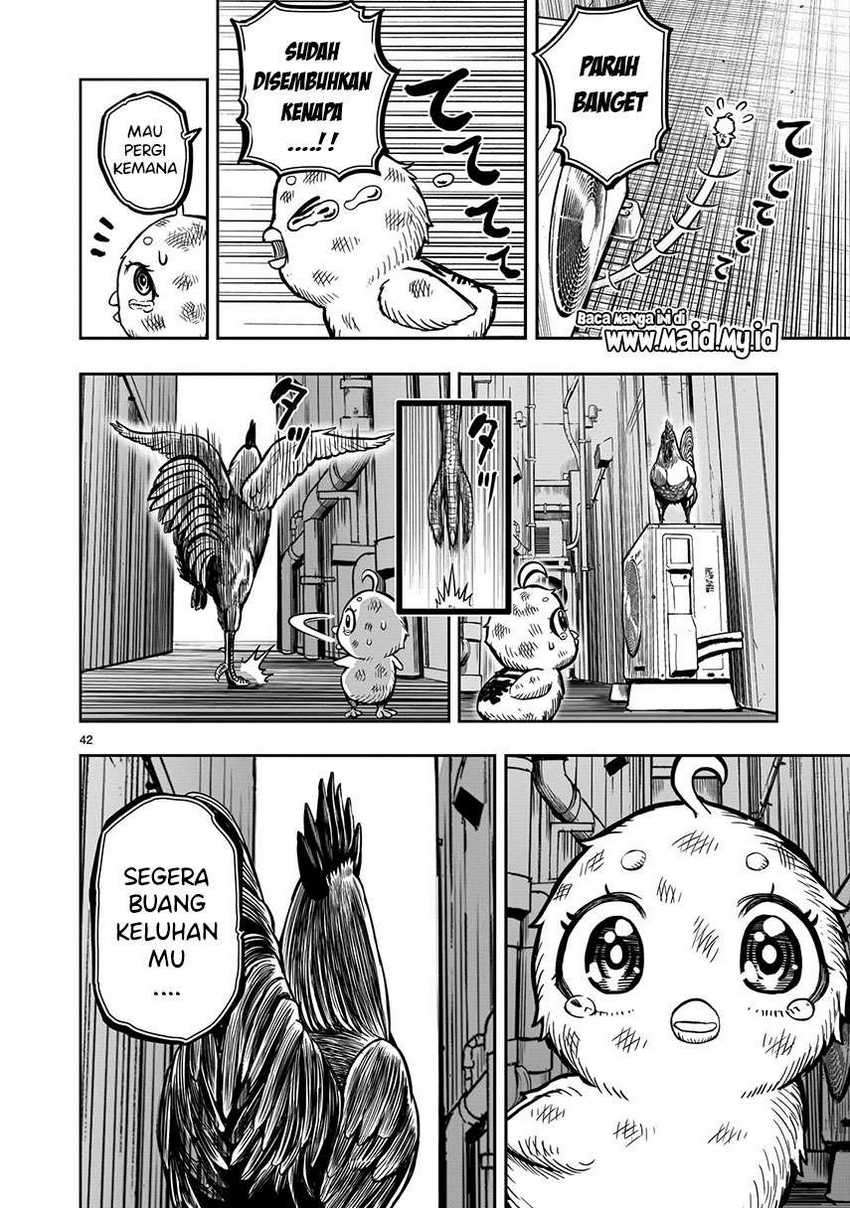Rooster Fighter Chapter 06