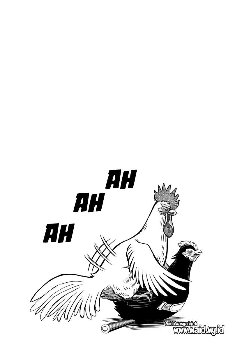 Rooster Fighter Chapter 07