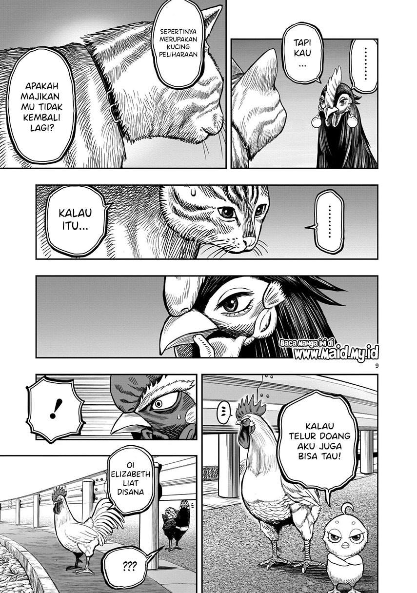 Rooster Fighter Chapter 09