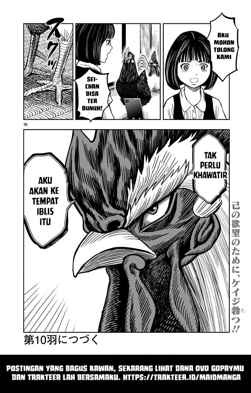 Rooster Fighter Chapter 09