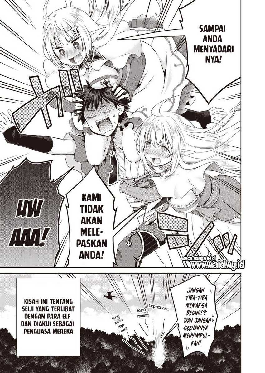 Dakara Katte Ni Yusha Toka Hao Ni Nintei Sun No Yamero Yo! Elf Zoku Mo Kokuo Sama Mo Hirefusu Hodo Ore Ha Idaina Yakuwarirashi Chapter 01