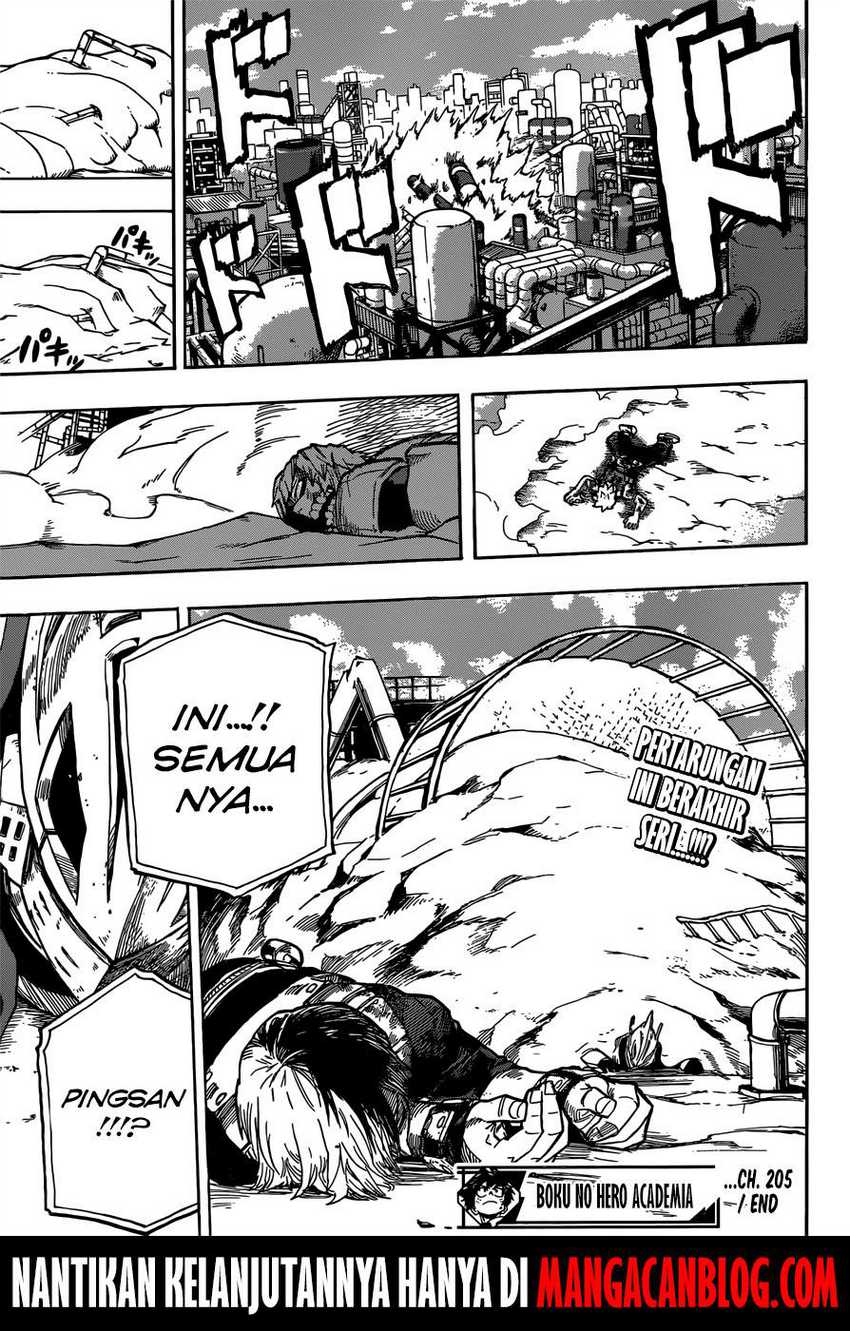 Boku no Hero Academia Chapter 205