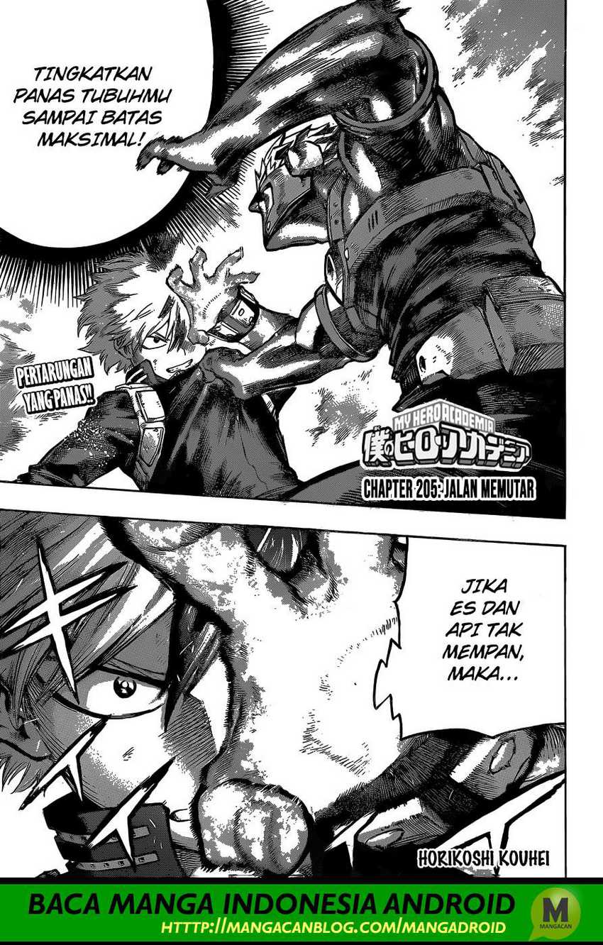 Boku no Hero Academia Chapter 205