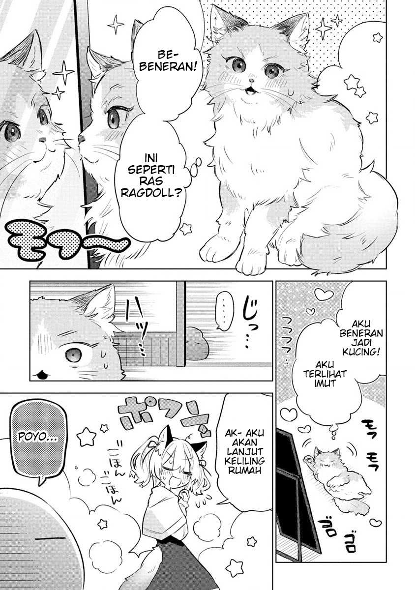 Nekomimi Shoujo wa Mori de Slow Life wo Okuritai: Mofumofu wa Shomou Shimashita ga, Seijo to ka Ouji-sama to ka wa Chuumongai desu Chapter 01