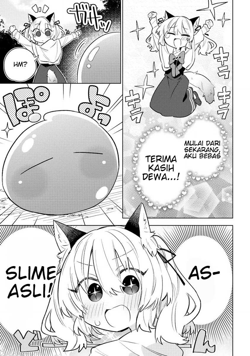 Nekomimi Shoujo wa Mori de Slow Life wo Okuritai: Mofumofu wa Shomou Shimashita ga, Seijo to ka Ouji-sama to ka wa Chuumongai desu Chapter 01