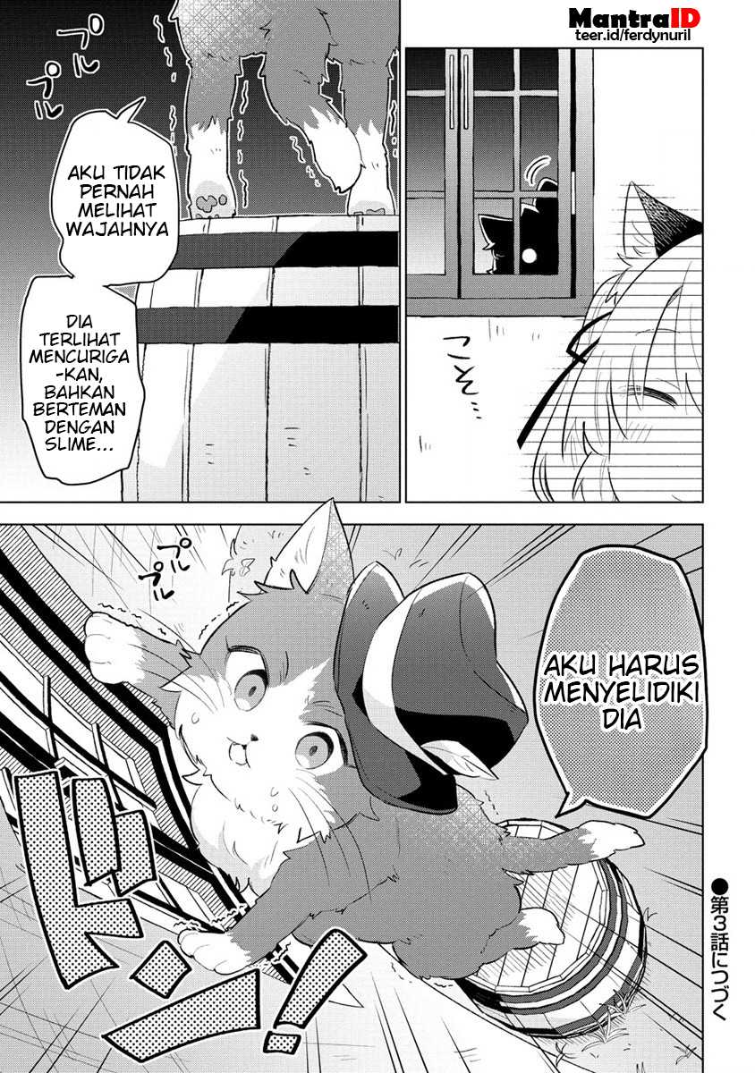 Nekomimi Shoujo wa Mori de Slow Life wo Okuritai: Mofumofu wa Shomou Shimashita ga, Seijo to ka Ouji-sama to ka wa Chuumongai desu Chapter 02.2