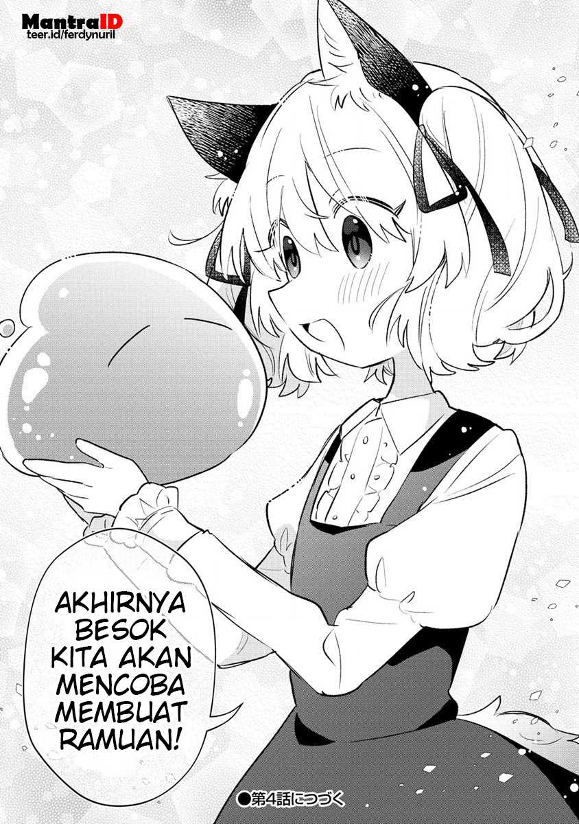 Nekomimi Shoujo wa Mori de Slow Life wo Okuritai: Mofumofu wa Shomou Shimashita ga, Seijo to ka Ouji-sama to ka wa Chuumongai desu Chapter 03.2