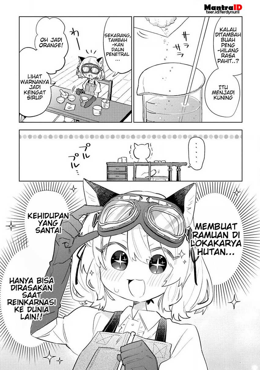 Nekomimi Shoujo wa Mori de Slow Life wo Okuritai: Mofumofu wa Shomou Shimashita ga, Seijo to ka Ouji-sama to ka wa Chuumongai desu Chapter 04.1