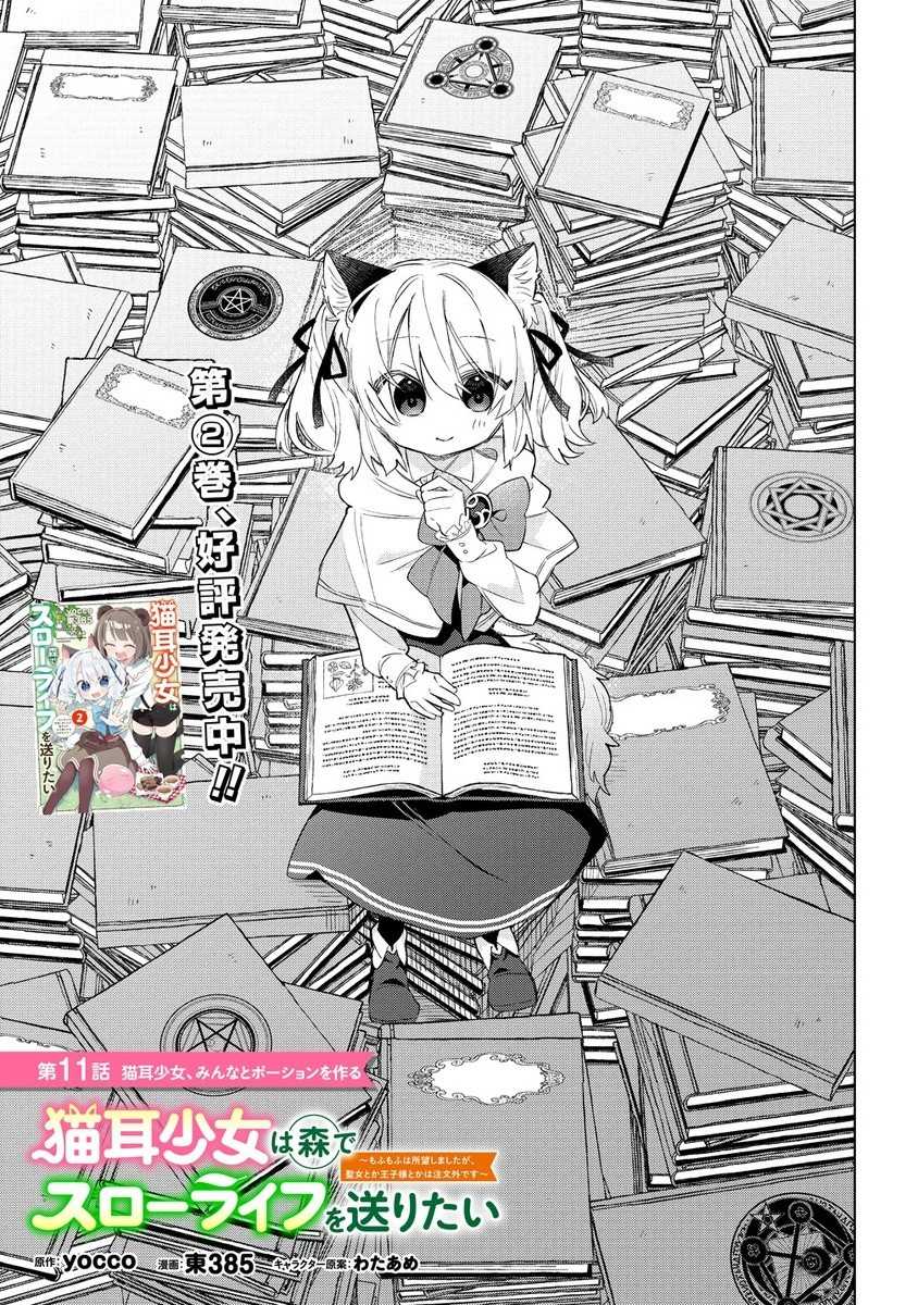 Nekomimi Shoujo wa Mori de Slow Life wo Okuritai: Mofumofu wa Shomou Shimashita ga, Seijo to ka Ouji-sama to ka wa Chuumongai desu Chapter 11.1