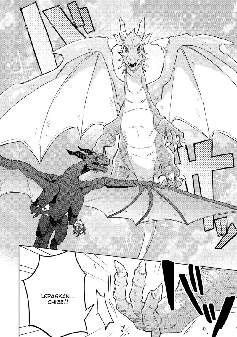 Nekomimi Shoujo wa Mori de Slow Life wo Okuritai: Mofumofu wa Shomou Shimashita ga, Seijo to ka Ouji-sama to ka wa Chuumongai desu Chapter 13.1