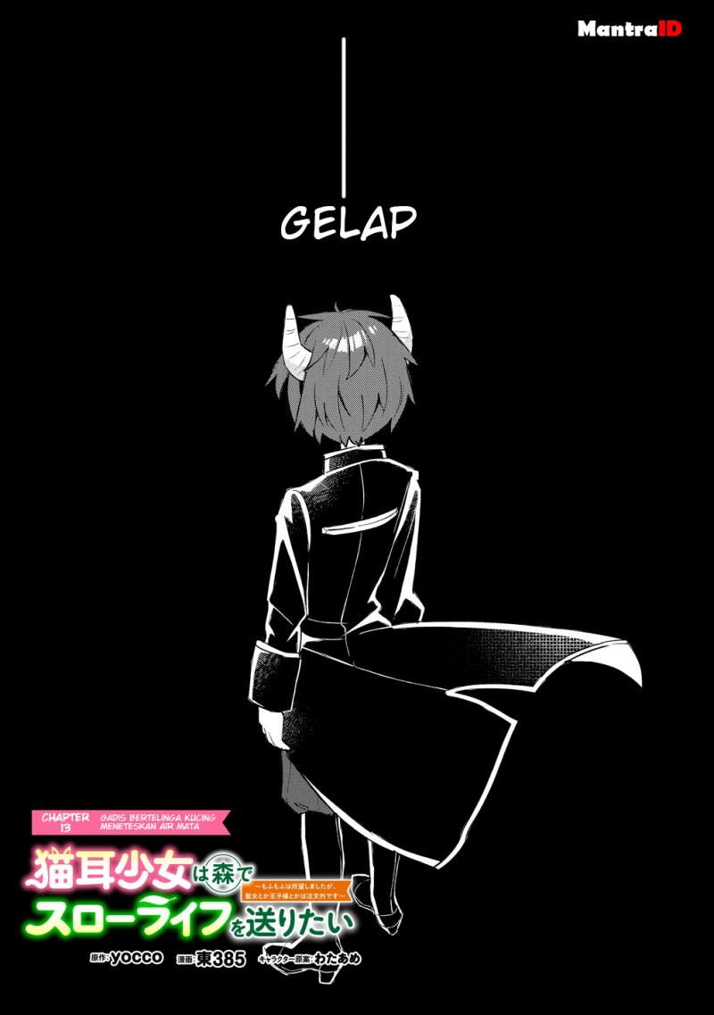 Nekomimi Shoujo wa Mori de Slow Life wo Okuritai: Mofumofu wa Shomou Shimashita ga, Seijo to ka Ouji-sama to ka wa Chuumongai desu Chapter 13.1
