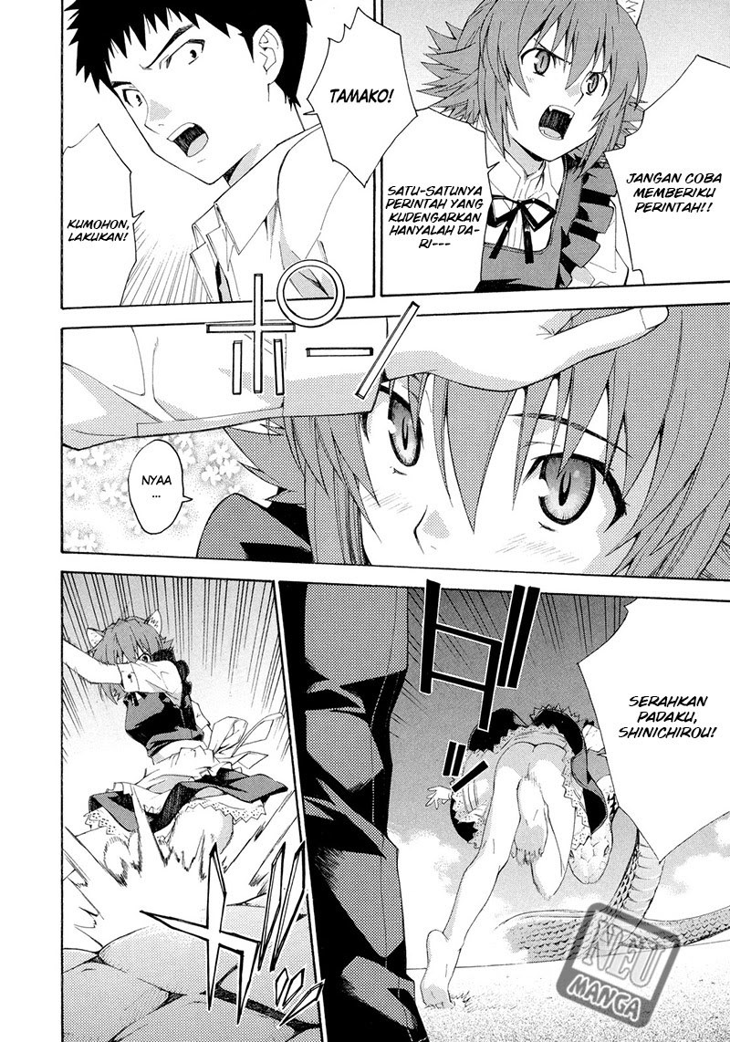 Isuca Chapter 13