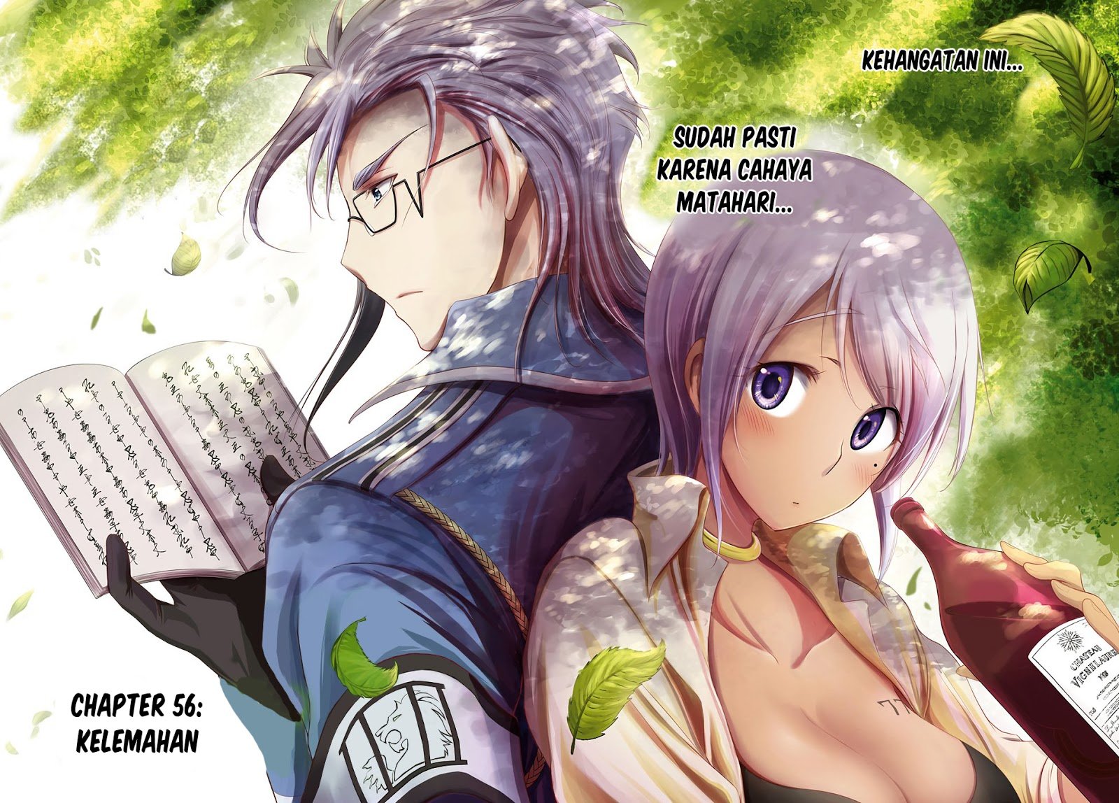 Plunderer Chapter 56