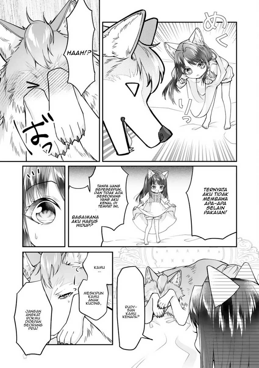Neko Neko Youjo no Aijou Gohan ~Isekai de Mofumofu-tachi ni Ryouri wo Tsukurimasu!~ Chapter 01