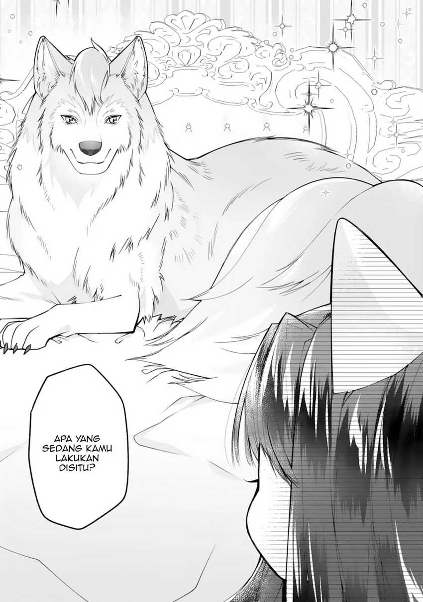 Neko Neko Youjo no Aijou Gohan ~Isekai de Mofumofu-tachi ni Ryouri wo Tsukurimasu!~ Chapter 01