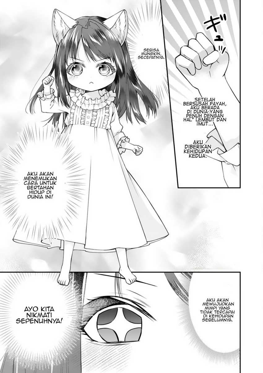 Neko Neko Youjo no Aijou Gohan ~Isekai de Mofumofu-tachi ni Ryouri wo Tsukurimasu!~ Chapter 01