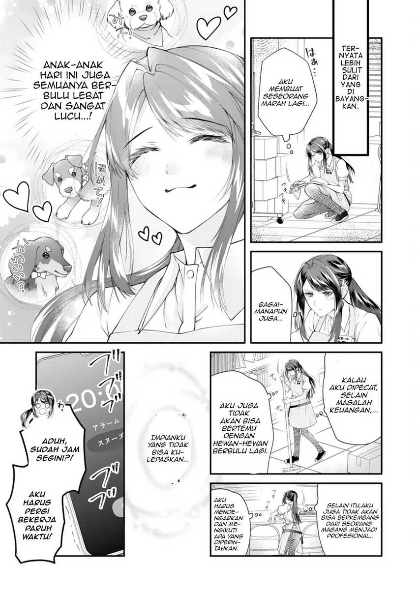 Neko Neko Youjo no Aijou Gohan ~Isekai de Mofumofu-tachi ni Ryouri wo Tsukurimasu!~ Chapter 01
