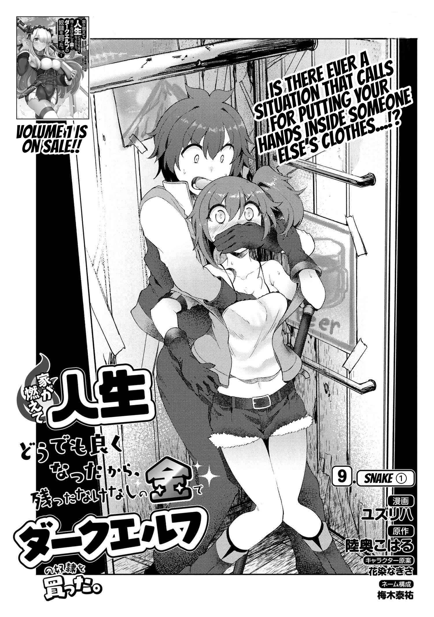 Ie ga Moete Jinsei Dou Demo Yoku Natta kara, Nokotta Nakenashi no Kin de Dark Elf no Dorei o Katta Chapter 9.1