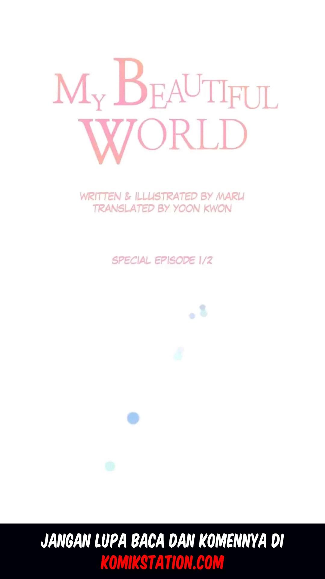 My Beautiful World Chapter 66.5