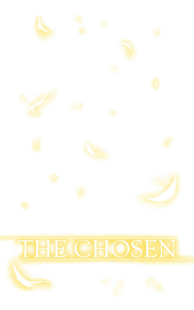 The Chosen Chapter 40