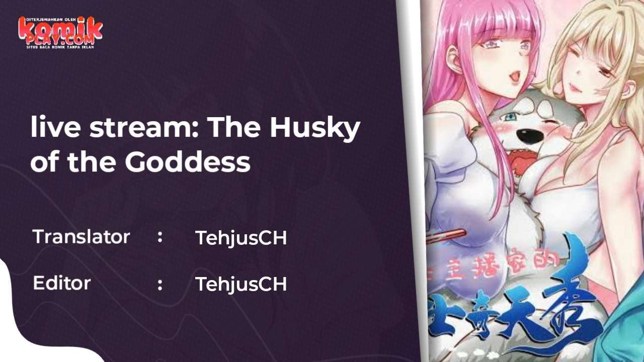 live stream: The Husky of the Goddess Chapter 00
