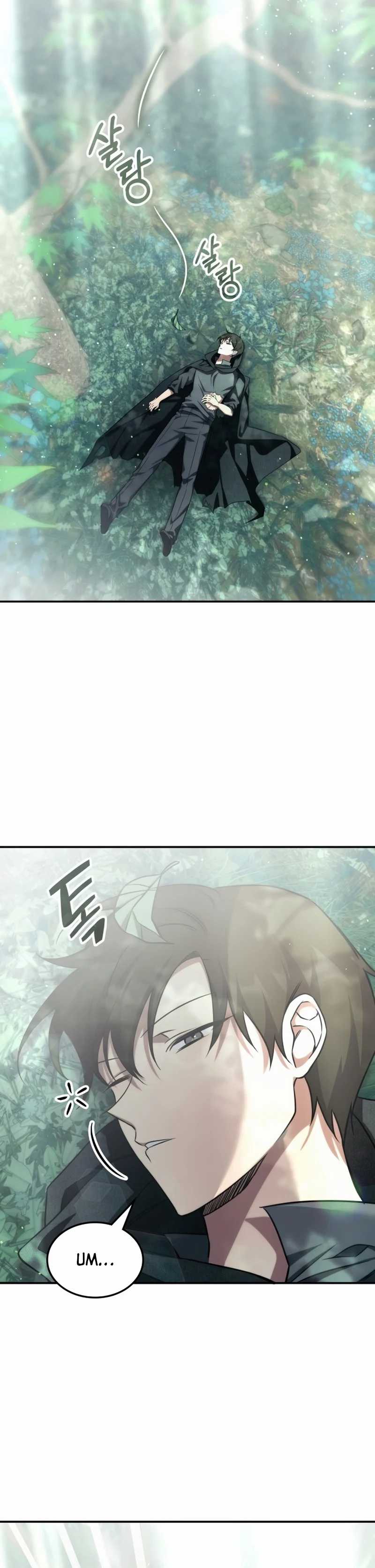 The Veteran Healer Is Overpowered Chapter 01